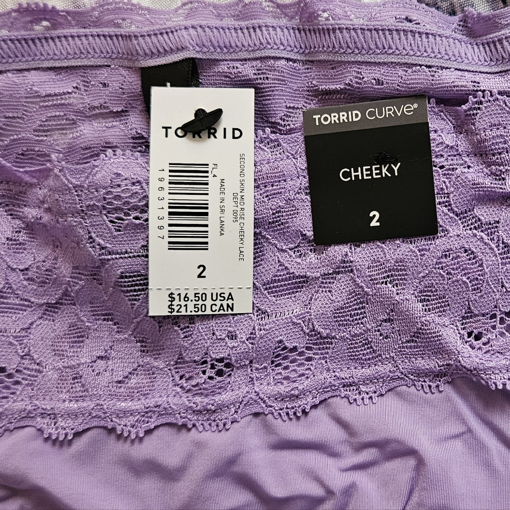 NWT Torrid Lacey Cheeky Panty - Picture 4 of 5